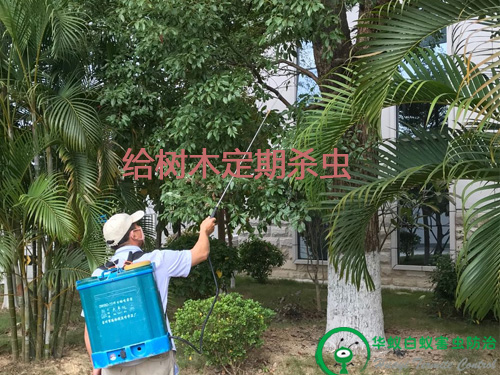 东莞杀虫灭鼠